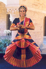 Dwaraka Style Costume